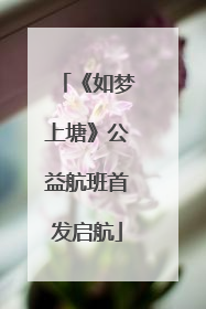 《如梦上塘》公益航班首发启航