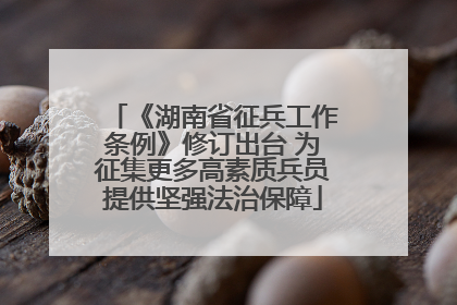 《湖南省征兵工作条例》修订出台 为征集更多高素质兵员提供坚强法治保障