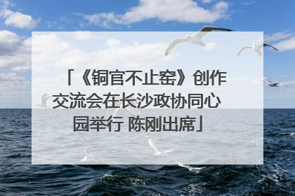 《铜官不止窑》创作交流会在长沙政协同心园举行 陈刚出席