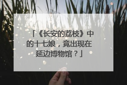 《长安的荔枝》中的十七娘，竟出现在延边博物馆？