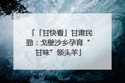 「甘快看」甘肃民勤：戈壁沙乡孕育“甘味”领头羊