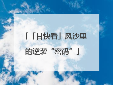 「甘快看」风沙里的逆袭“密码”
