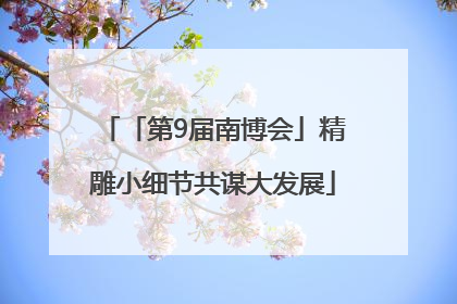 「第9届南博会」精雕小细节共谋大发展
