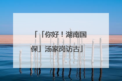「你好！湖南国保」汤家岗访古