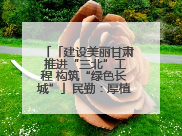 「建设美丽甘肃 推进“三北”工程 构筑“绿色长城”」民勤：厚植生态底色 筑牢绿色屏障