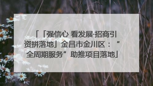 「强信心 看发展·招商引资拼落地」金昌市金川区:“全周期服务”助推项目落地