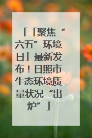 「聚焦“六五”环境日」最新发布！日照市生态环境质量状况“出炉”