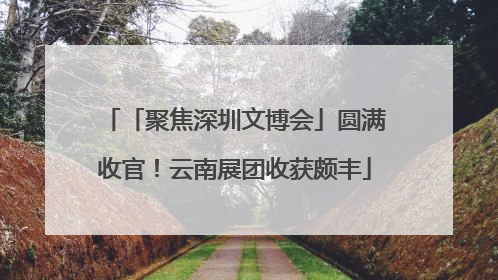 「聚焦深圳文博会」圆满收官！云南展团收获颇丰