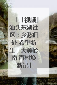 「视频」汕头东湖社区：乡愁归处 希望新生｜大美岭南·百村焕新记
