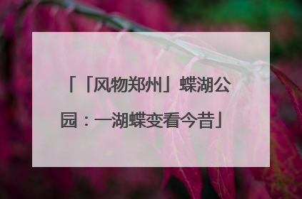 「风物郑州」蝶湖公园：一湖蝶变看今昔