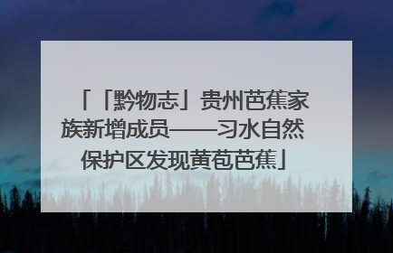 「黔物志」贵州芭蕉家族新增成员——习水自然保护区发现黄苞芭蕉