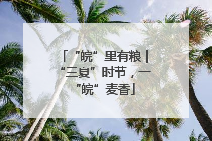 “皖”里有粮｜“三夏”时节，一“皖”麦香