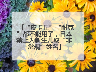 “皮卡丘”“耐克”都不能用了，日本禁止为新生儿取“非常规”姓名