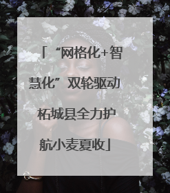 “网格化+智慧化”双轮驱动 柘城县全力护航小麦夏收