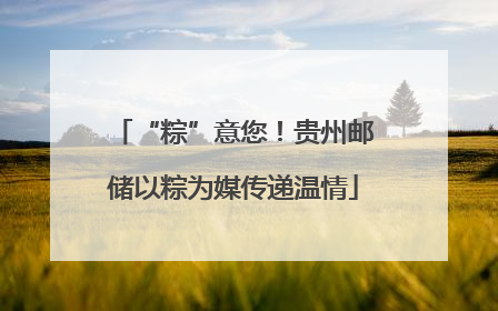 “粽”意您！贵州邮储以粽为媒传递温情