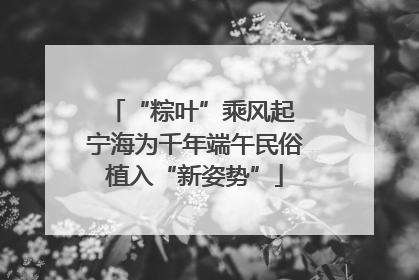 “粽叶”乘风起 宁海为千年端午民俗植入“新姿势”