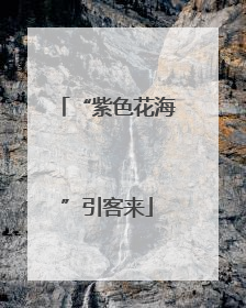 “紫色花海”引客来