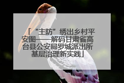 “主防”绣出乡村平安图——解码甘肃省高台县公安局罗城派出所基层治理新实践