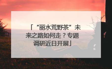 “丽水荒野茶”未来之路如何走？专题调研近日开展