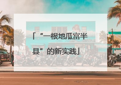 “一根地瓜富半县”的新实践
