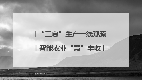 “三夏”生产一线观察丨智能农业“慧”丰收