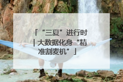 “三夏”进行时｜大数据化身“精准割麦机”