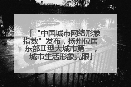 “中国城市网络形象指数”发布，扬州位居东部Ⅱ型大城市第一，城市生活形象亮眼