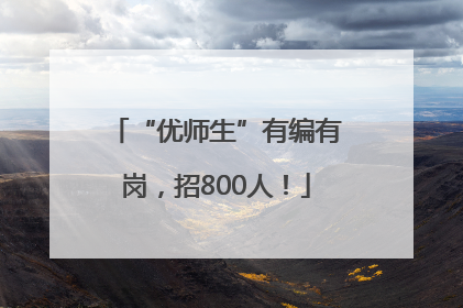 “优师生”有编有岗，招800人！