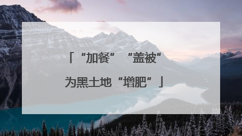 “加餐”“盖被” 为黑土地“增肥”