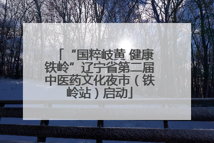 “国粹岐黄 健康铁岭”辽宁省第二届中医药文化夜市（铁岭站）启动