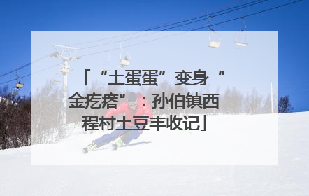 “土蛋蛋”变身“金疙瘩”：孙伯镇西程村土豆丰收记