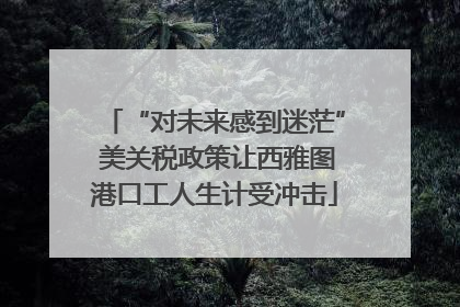 “对未来感到迷茫” 美关税政策让西雅图港口工人生计受冲击