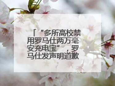 “多所高校禁用罗马仕两万毫安充电宝”，罗马仕发声明道歉：已展开核查