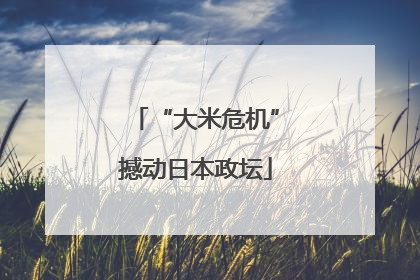 “大米危机”撼动日本政坛