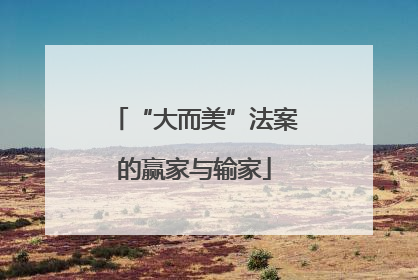 “大而美”法案的赢家与输家