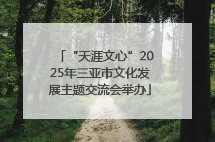 “天涯文心”2025年三亚市文化发展主题交流会举办