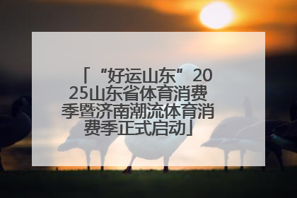 “好运山东”2025山东省体育消费季暨济南潮流体育消费季正式启动