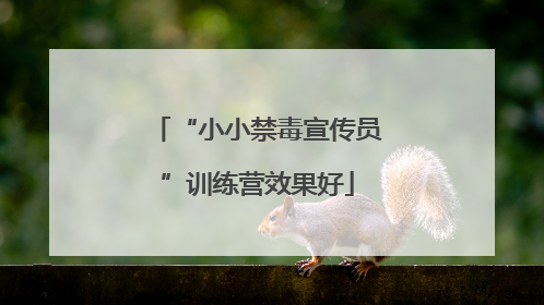 “小小禁毒宣传员”训练营效果好