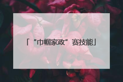 “巾帼家政”赛技能