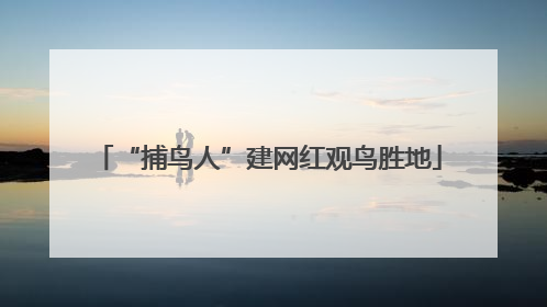 “捕鸟人”建网红观鸟胜地