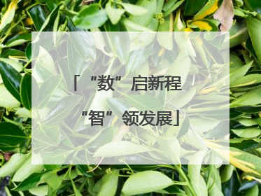 “数”启新程 “智”领发展