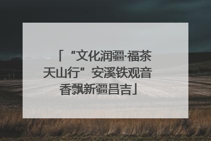 “文化润疆·福茶天山行”安溪铁观音香飘新疆昌吉