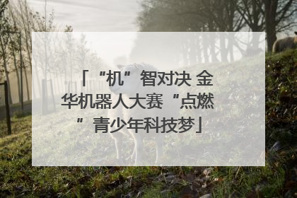 “机”智对决 金华机器人大赛“点燃”青少年科技梦
