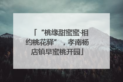 “桃缘甜蜜蜜·相约桃花驿”，孝南杨店镇早蜜桃开园