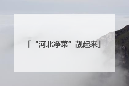 “河北净菜”靓起来