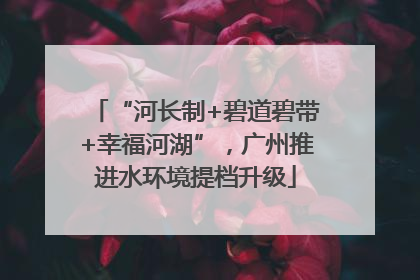 “河长制+碧道碧带+幸福河湖”，广州推进水环境提档升级