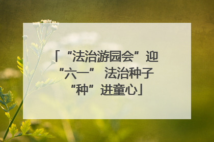 “法治游园会”迎“六一” 法治种子“种”进童心
