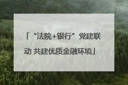 “法院+银行”党建联动 共建优质金融环境