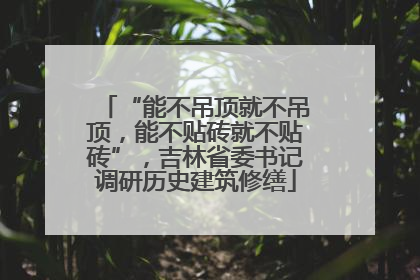 “能不吊顶就不吊顶，能不贴砖就不贴砖”，吉林省委书记调研历史建筑修缮