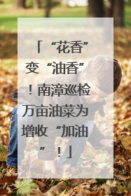 “花香”变“油香”！南漳巡检万亩油菜为增收“加油”！